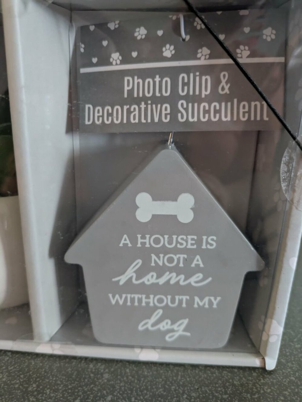 Best of Breed Pet Photo Clip & Decorative Succulent Set - White & Gray - Picture 3 of 5